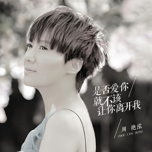 是否爱你就不该让你离开我（Dj沈念版）-周艳泓