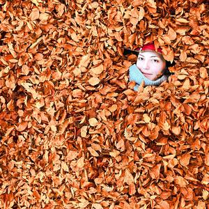 Amando (feat. Alessandra Nimis)