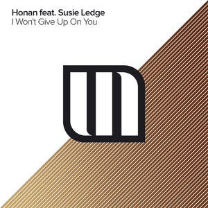 I Won't Give Up On You (Original Mix)