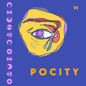 Pocity