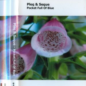 Pocket Full Of Blue (Pleq RMX).