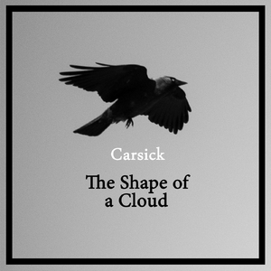 The Shape of a Cloud