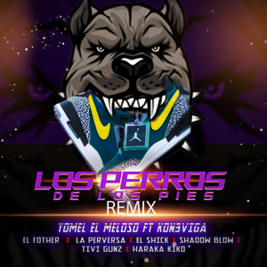 Los Perros de los Pies (Remix)