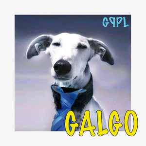 Galgo