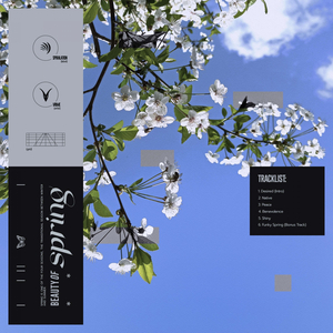 Funky Spring (Bonus Track)