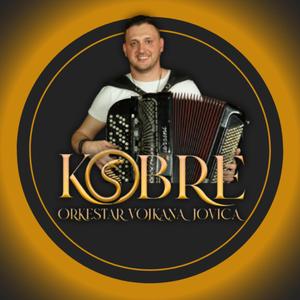 HAJDE DODJI (feat. Milica Vasic) (Cover)