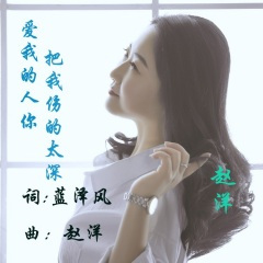 爱我的人你把我伤的太深 DJ版