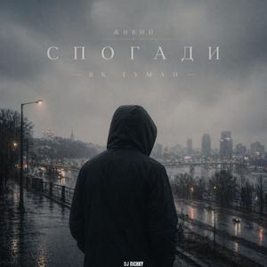 Спогади як туман