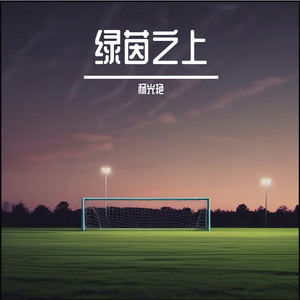 绿茵之上