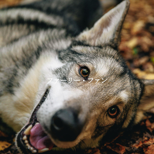 Number One Sunday Lunches at Home