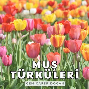 Kaleden Kaleye Ben Gördüm Onu