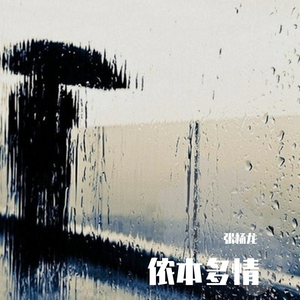 侬本多情Guitar Ver.