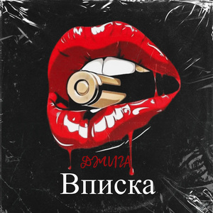Вписка