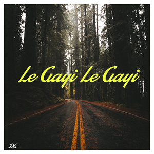 Le Gayi Le Gayi