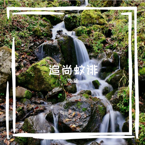 追尚蚊诽