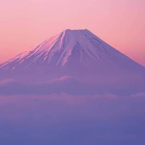 往后余生