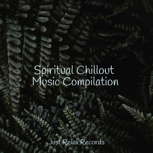 Beyond the Starry Sky