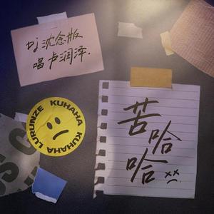 苦哈哈（DJ沈念版）