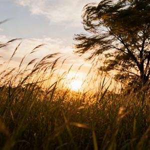 我曾像傻子一样爱你 (郭小成 Remix)