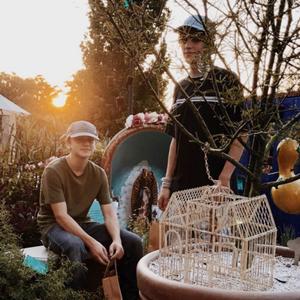 你们的刽子手都得到那只熊猫粪