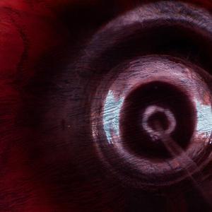 Immunize (COG Dubstep Remix)