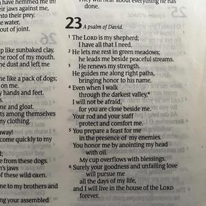 Psalms 23