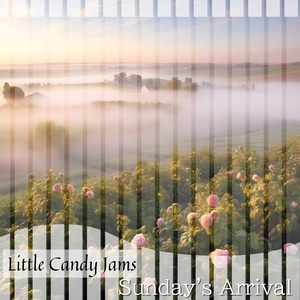 Brisk Morning Promenade