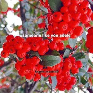 someone like you adele