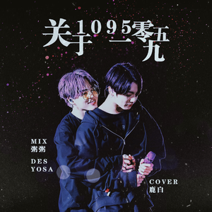 关于一零九五（翻自 珍珍珍）