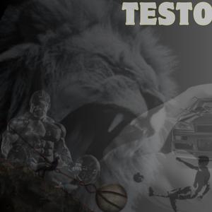 Testo