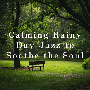 Raindrops in the Evening