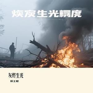 灰烬生光