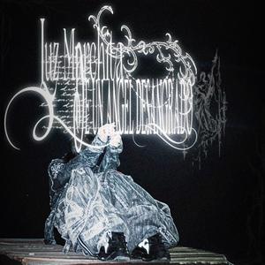 luz marchita de un angel desangrado