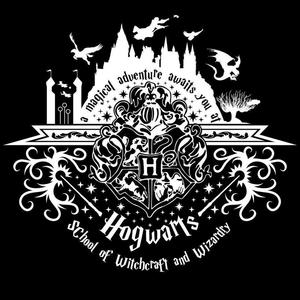 斯莱特林的水瓶座(Prod. Burger)