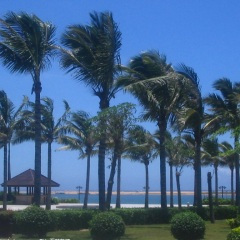 我的江汉大平原