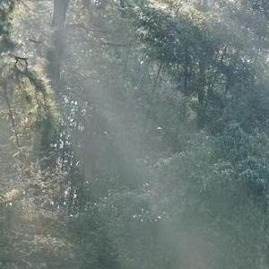 父亲写的散文诗