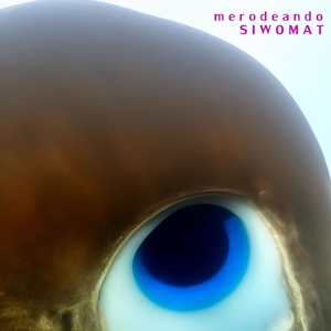 Merodeando