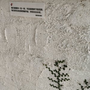 选择的迷茫