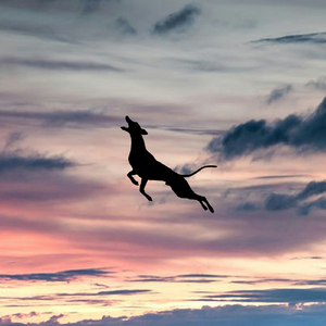 Skyline (Original Mix)