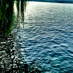 Mbti在湖滨