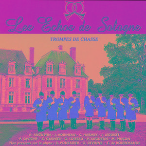 Les Honneurs Du Pied