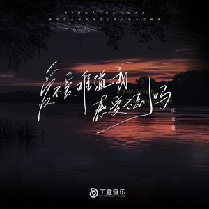 爱不爱难道我感受不到吗（DJ版）