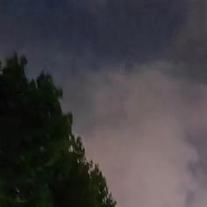 海鸥（cover：逃跑计划）