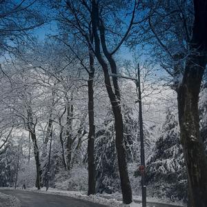 אני מבטיח לך