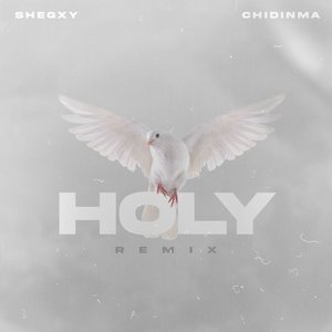 Holy (Remix)