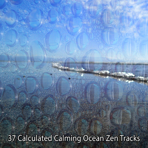 短暂的海岸漫步