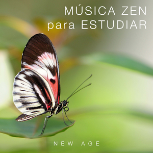 Espiritualidad (Spiritual Music)
