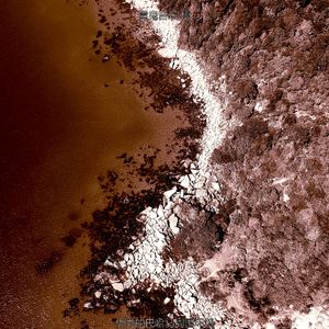 优美巴哈马器乐