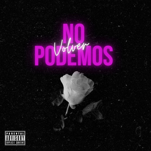 NO PODEMOS VOLVER (Versión)