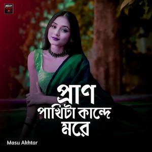 প্রাণ পাখিটা কান্দে মরে